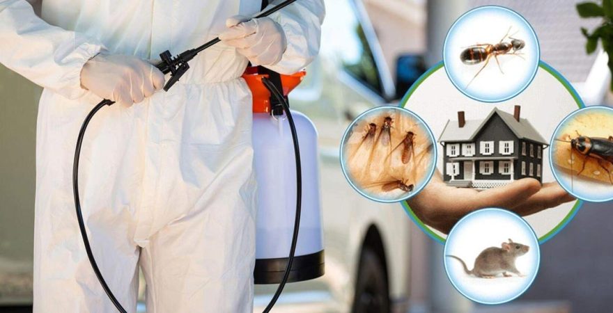 Erfelek Böcek İlaçlama